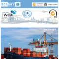Shenzhen Ocean Shipping Service nach Großbritannien